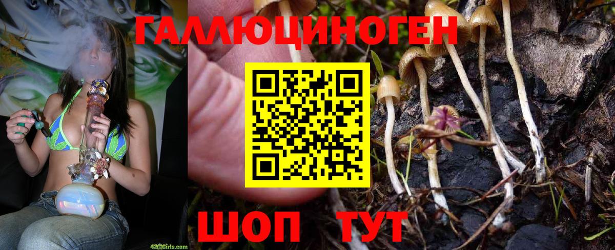 Мурино  Псилоцибиновые грибы ЛСД  Вход с VPN 